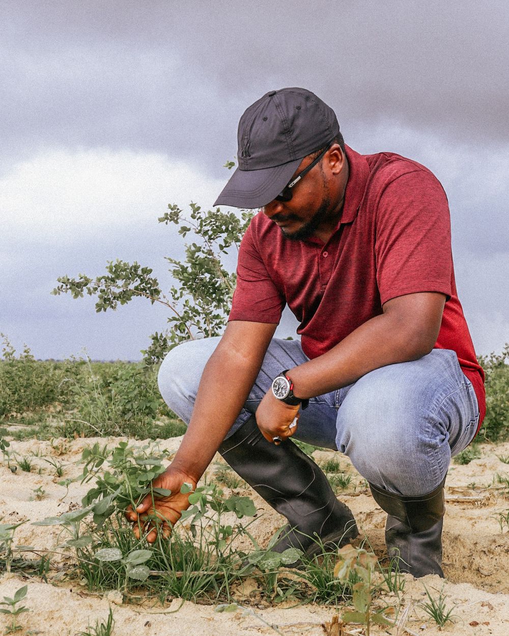 An agronomist inspecting crop health in a green field