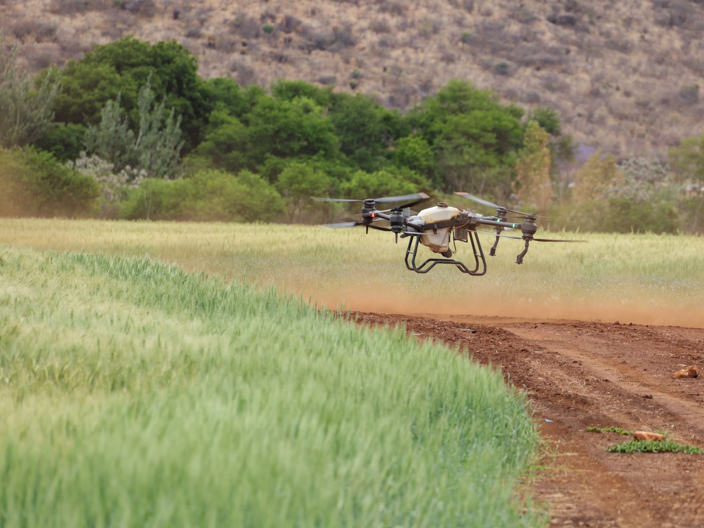 Ifenri Sight — Drone mapping & crop intelligence